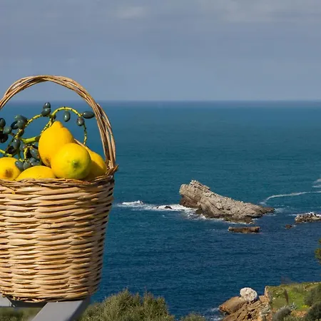 Zabbara Bed & Breakfast Terrasini