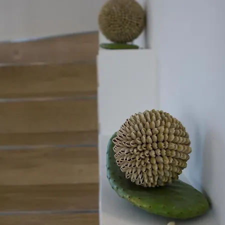 Frühstückspension Zabbara