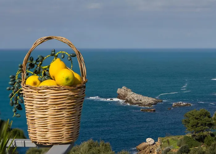 Zabbara B&B 테라시니