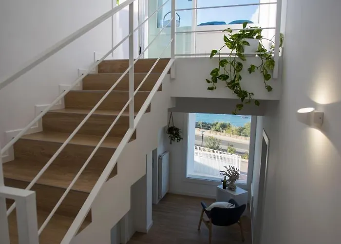 Zabbara 테라시니