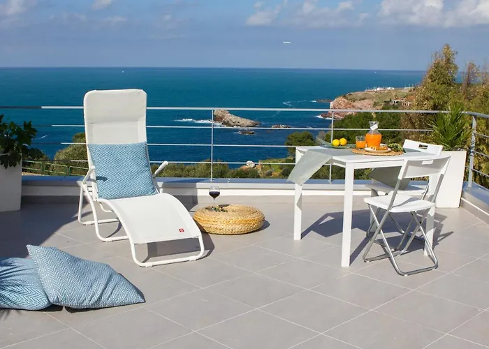 Zabbara 테라시니