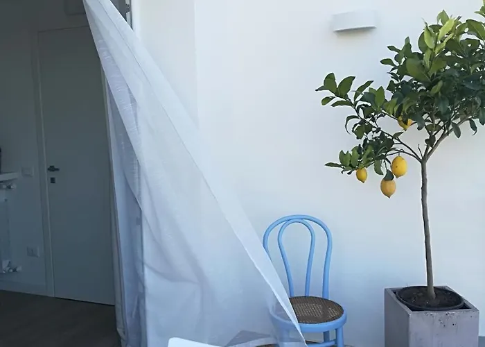 Zabbara 테라시니