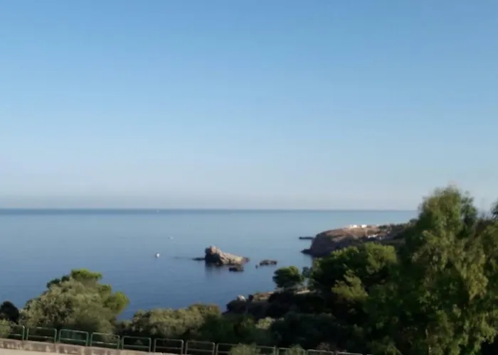 Zabbara 테라시니