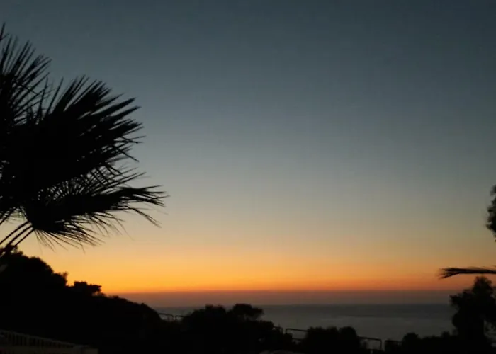 Zabbara 4* 테라시니