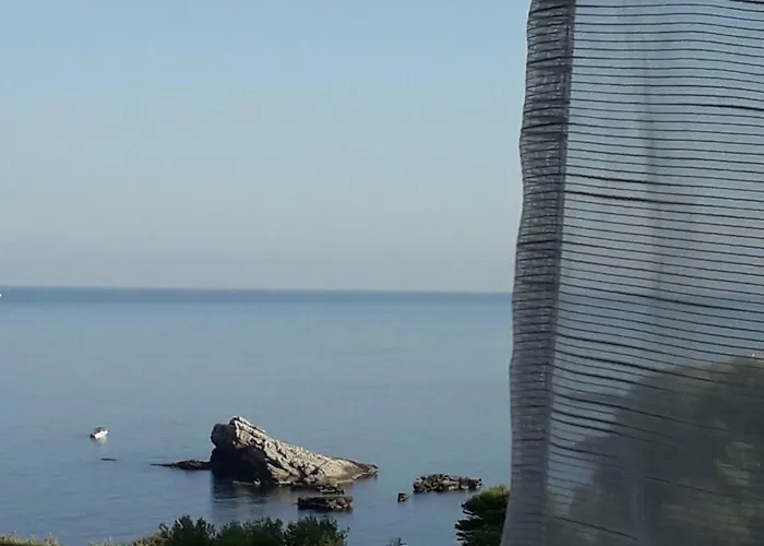 Zabbara 테라시니